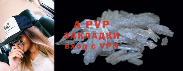ГАЛЛЮЦИНОГЕННЫЕ ГРИБЫ Заволжье